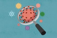 Spread of COVID Variant BA286 lsquoPirola Grows